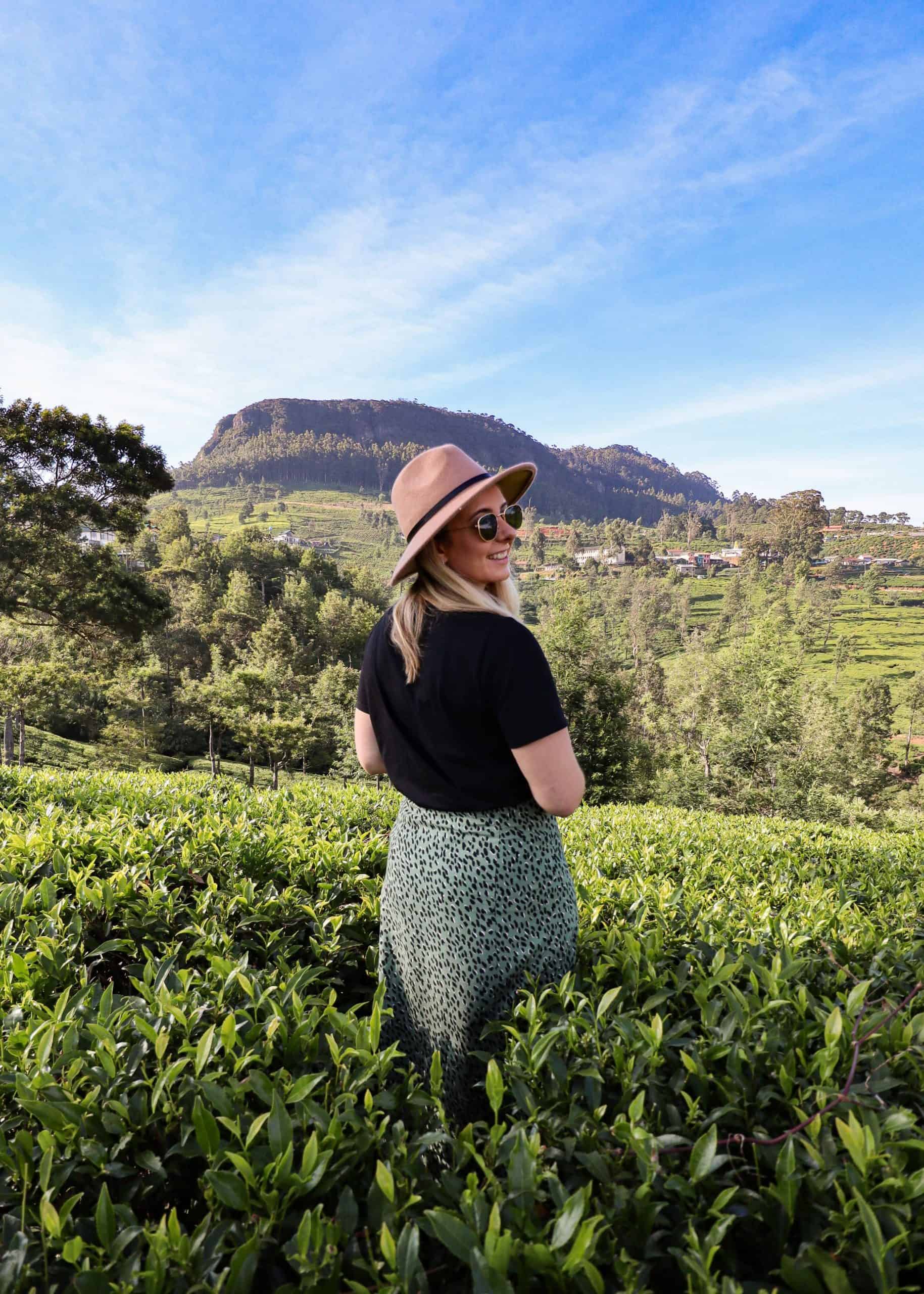 Pedro Tea Estate and Factory